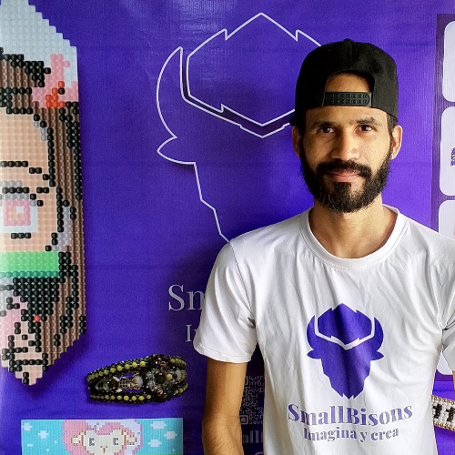 Enrique Zambrano SEO de smallbisons.com