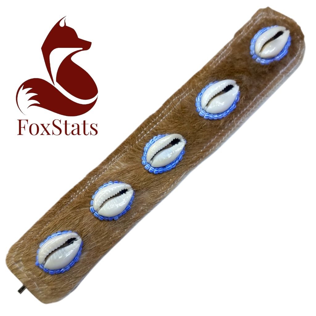 Creación de FoxStats